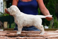 /album/fotogalerie/arinka-postoj-jpg/